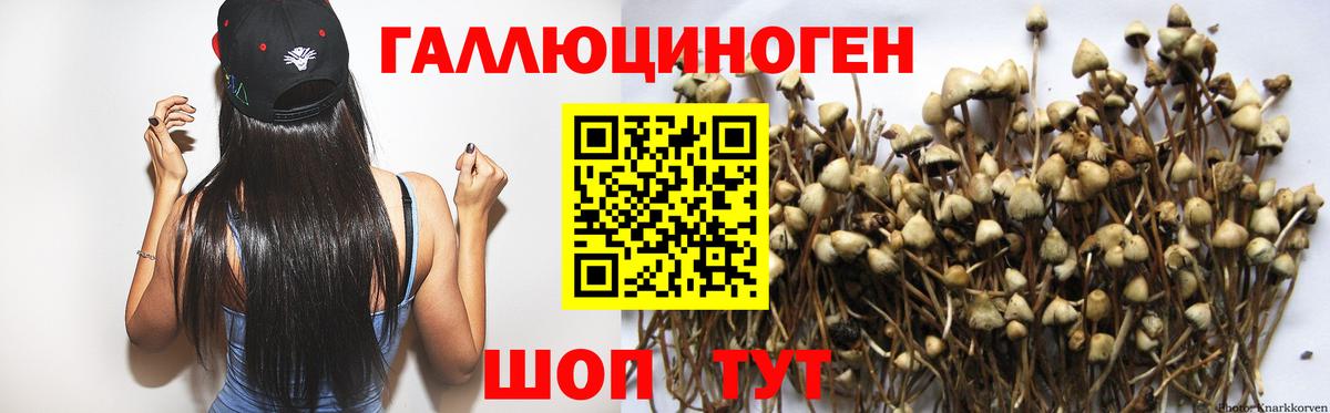 Галлюциногенные грибы мицелий  Вход с VPN  Сыктывкар 
